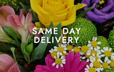 Same Day Flowers to Order