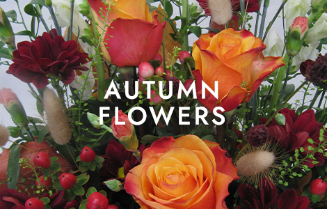Autumn Flowers